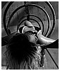 Filename=23.jpg
Filesize=418KiB
Dimensions=1544x1030
Date added=Mar 31, 2016 23.jpg