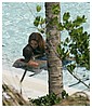Filename=hq76.jpg
Filesize=438KiB
Dimensions=2132x1900
Date added=Feb 05, 2014 hq76.jpg