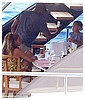 Filename=01.jpg
Filesize=69KiB
Dimensions=470x505
Date added=Aug 21, 2016 01.jpg
