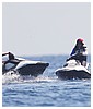 Filename=hq29.jpg
Filesize=410KiB
Dimensions=3000x2000
Date added=Aug 21, 2016 hq29.jpg