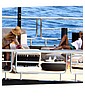 Filename=hq49.jpg
Filesize=537KiB
Dimensions=3000x2000
Date added=Jul 21, 2018 hq49.jpg