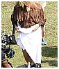 Filename=08.jpg
Filesize=87KiB
Dimensions=306x608
Date added=Mar 23, 2018 08.jpg