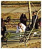 Filename=07.jpg
Filesize=261KiB
Dimensions=962x640
Date added=Dec 27, 2018 07.jpg