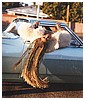 Filename=157.jpg
Filesize=218KiB
Dimensions=1024x1024
Date added=Sep 19, 2017 157.jpg