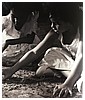 Filename=166.jpg
Filesize=179KiB
Dimensions=1024x1024
Date added=Sep 19, 2017 166.jpg