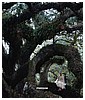 Filename=22.jpg
Filesize=426KiB
Dimensions=1210x909
Date added=Apr 25, 2016 22.jpg
