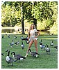 Filename=44.jpg
Filesize=128KiB
Dimensions=640x448
Date added=Aug 21, 2014 44.jpg