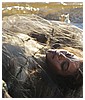 Filename=52.jpg
Filesize=375KiB
Dimensions=1600x1075
Date added=Aug 22, 2016 52.jpg
