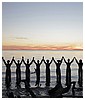 Filename=56.jpg
Filesize=301KiB
Dimensions=1613x1075
Date added=Aug 22, 2016 56.jpg