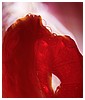 Filename=01.jpg
Filesize=331KiB
Dimensions=1321x1981
Date added=Mar 31, 2024 01.jpg