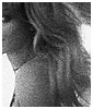 0087.jpg