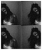 Filename=0183.jpg
Filesize=94KiB
Dimensions=768x576
Date added=Aug 21, 2009 0183.jpg