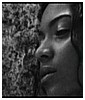 Filename=0006.jpg
Filesize=42KiB
Dimensions=640x480
Date added=Feb 19, 2014 0006.jpg
