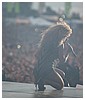 hq09.jpg