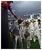 Filename=hq30.jpg
Filesize=3169KiB
Dimensions=4496x4000
Date added=Dec 29, 2024 hq30.jpg