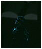 0768.jpg