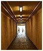 Filename=1688.jpg
Filesize=211KiB
Dimensions=1280x853
Date added=Aug 03, 2025 1688.jpg