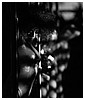 Filename=109.jpg
Filesize=367KiB
Dimensions=1920x1280
Date added=Jul 25, 2014 109.jpg