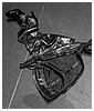 053.jpg