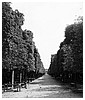Filename=460.jpg
Filesize=750KiB
Dimensions=1267x1900
Date added=Aug 03, 2025 460.jpg