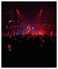 Filename=hq59.jpg
Filesize=696KiB
Dimensions=2999x2000
Date added=Aug 17, 2023 hq59.jpg