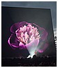 Filename=11.jpg
Filesize=405KiB
Dimensions=1920x1280
Date added=Jul 06, 2016 11.jpg