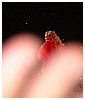 Filename=hq134.JPG
Filesize=503KiB
Dimensions=2592x1944
Date added=Jul 20, 2016 hq134.JPG
