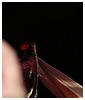 Filename=hq140.JPG
Filesize=485KiB
Dimensions=2592x1944
Date added=Jul 20, 2016 hq140.JPG