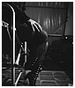 Filename=hq42.jpg
Filesize=403KiB
Dimensions=1333x2000
Date added=Jul 22, 2016 hq42.jpg