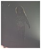 Filename=hq123.JPG
Filesize=964KiB
Dimensions=1944x2592
Date added=Mar 17, 2014 hq123.JPG
