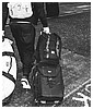 190.jpg