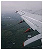 261.jpg